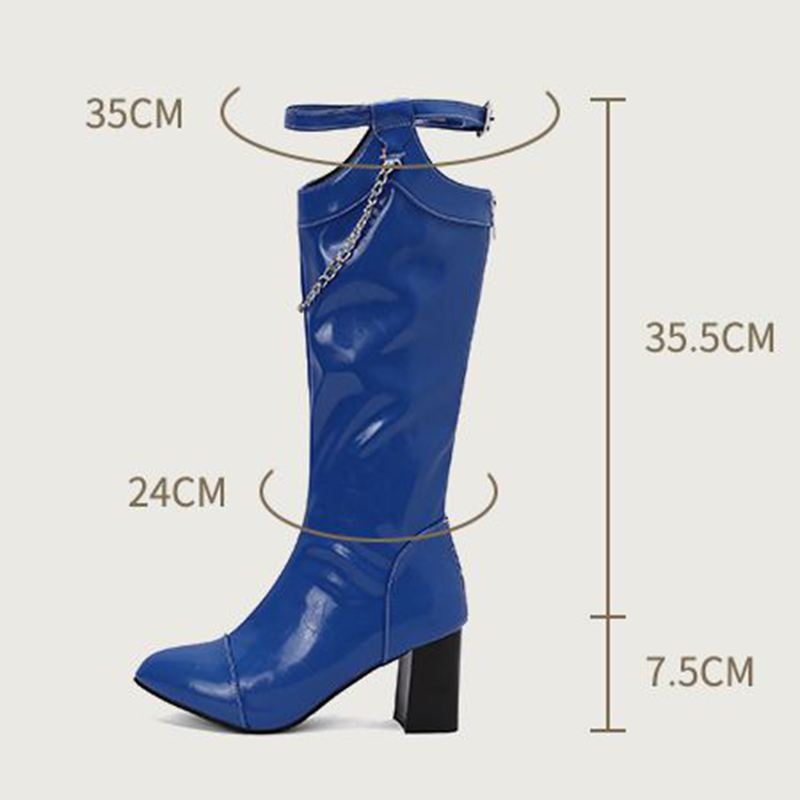 REAVE CAT Design Women Knee Hi - Women'S Fashion Knee High Boots recension och pris